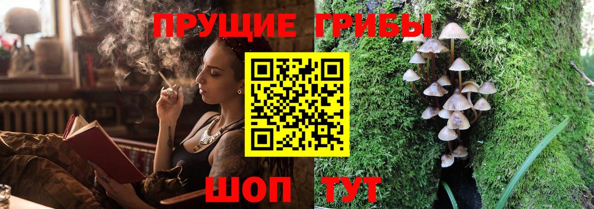 Псилоцибиновые грибы прущие грибы Апатиты