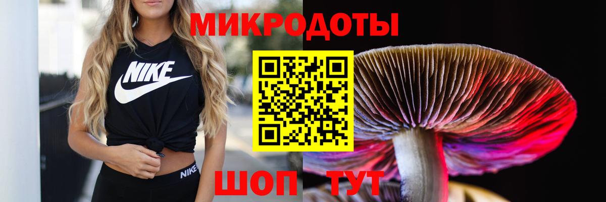 Апатиты  Псилоцибиновые грибы ЛСД  Псилоцибиновые грибы MAGIC MUSHROOMS  Вход с VPN 